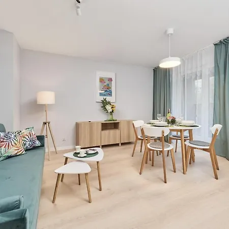 Starlight By Renters