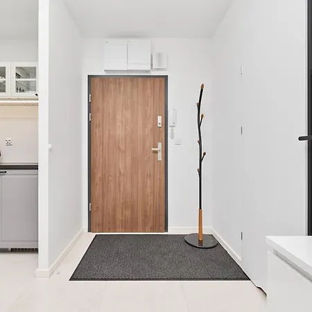Starlight By Renters *